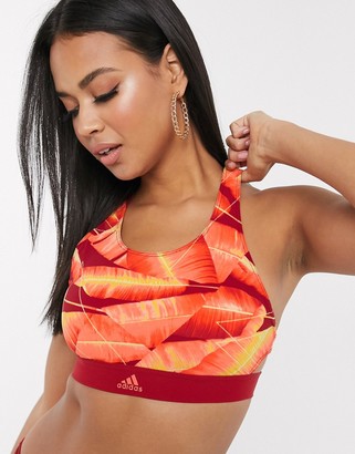 adidas Don't rest swim top in red