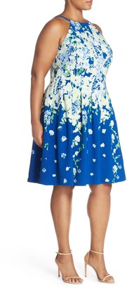Adrianna Papell Floral Fit & Flare Dress (Plus Size)