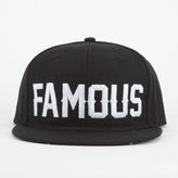 Thumbnail for your product : Famous Stars & Straps Seeing Alpine Mens Snapback Hat