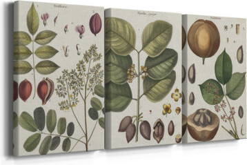 Dakota Fields Exotic Botanique I -Custom Wrapped Gallery Canvas - 3 Pieces