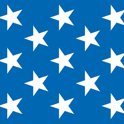 Alcott Hill Patriotic Stars Backdrop