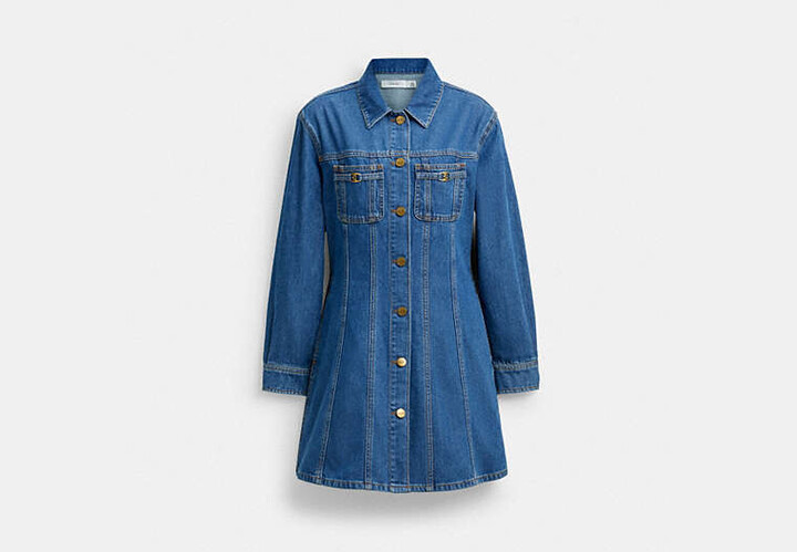 Long Sleeve Denim Dress In Organic Cotton