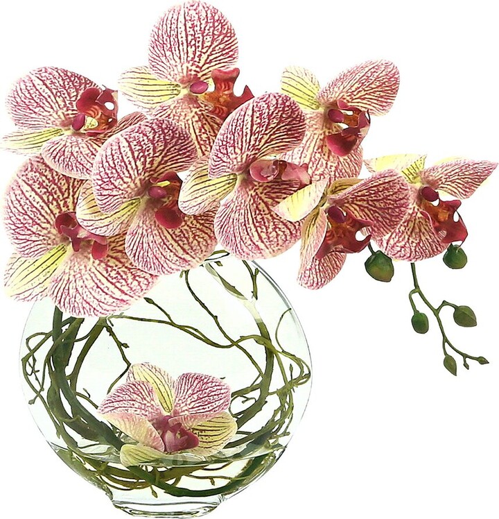 Creative Displays Orchid Floral In Glass Vase With Vines ShopStyle