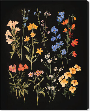 Art Remedy Darkling Daisies II Dark Elegant Florals