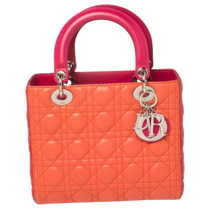 Dior multicolour Leather Handbags