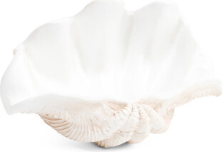 TJMAXX 16In Pearlized Clam Shell Decorative Bowl