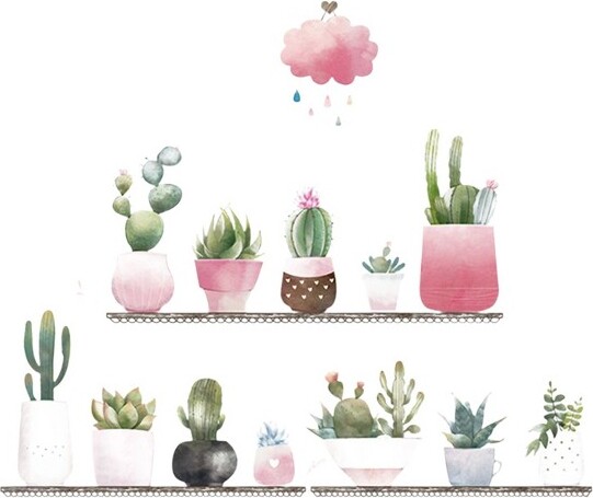 Home Collection HomeCollectionSucculentGreenShelfWallStickers