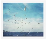 Thumbnail for your product : Pottery Barn Taking Flight Paper Print by Lupen Grainne