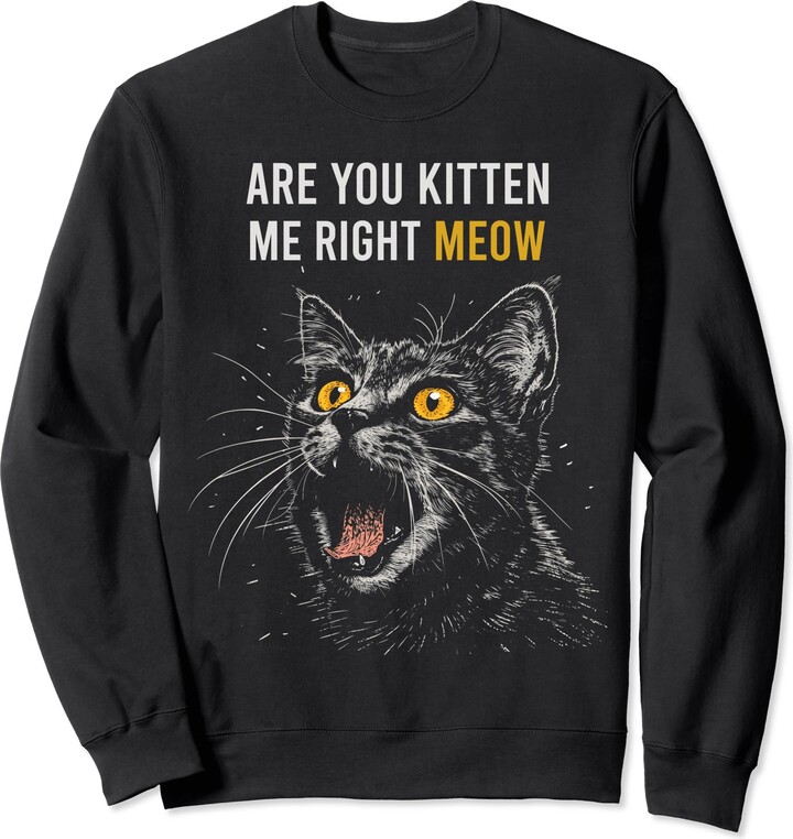 Whimsical Scared Cat Face Meme Are You Kitten Me Right Meow Funny Cat ...