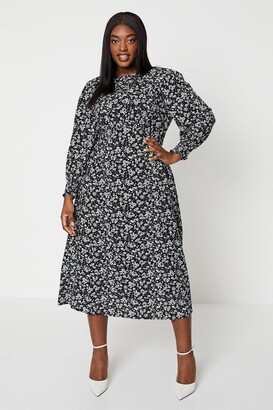 dorothy perkins curve dresses