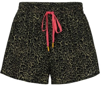 The Upside Efrem leopard-print shorts