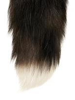 Thumbnail for your product : Alexander McQueen Fox-fur key ring