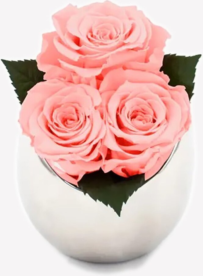OnlyRoses Infinite Rose Fortune ShopStyle Decor