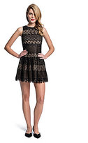 Thumbnail for your product : Cynthia Steffe CeCe by Winnie Lace Dress