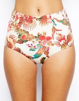 Thumbnail for your product : Gossard Birds Of Paradise High Waisted Deep Short Bikini Bottoms