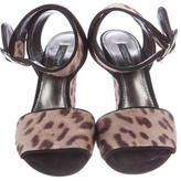 Thumbnail for your product : Dolce & Gabbana Ponyhair Wedge Sandals