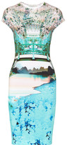 Thumbnail for your product : Mary Katrantzou Elay printed stretch-jersey dress