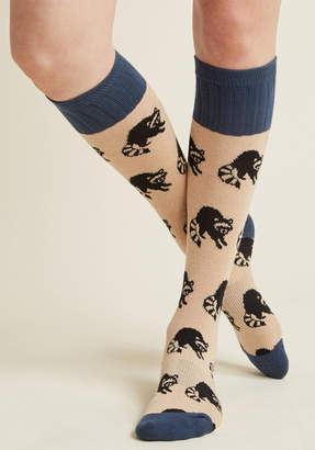 ModCloth Credible Critter Socks in Raccoon - Size OS