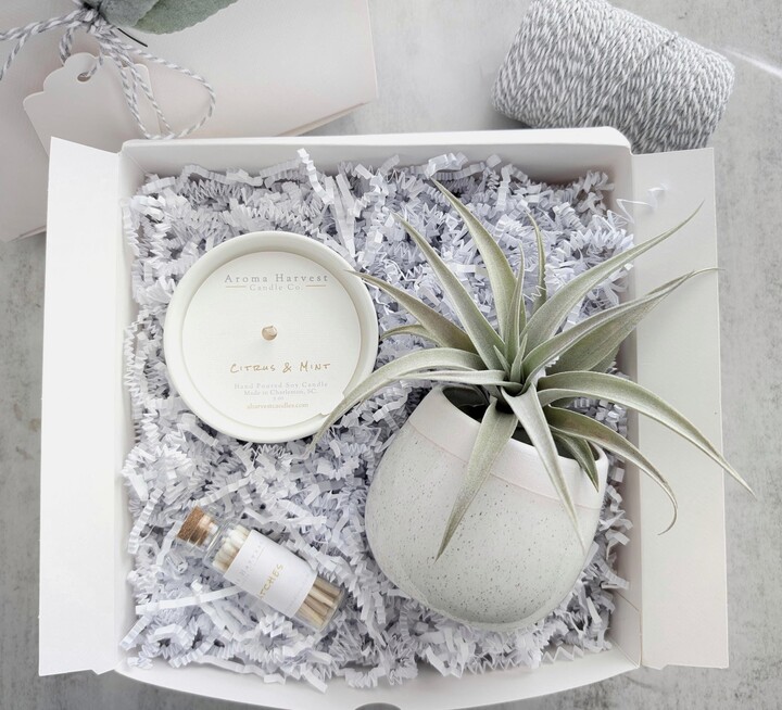 Soy Candle & Air Plant Gift Box Housewarming, Client Gift, Thank You