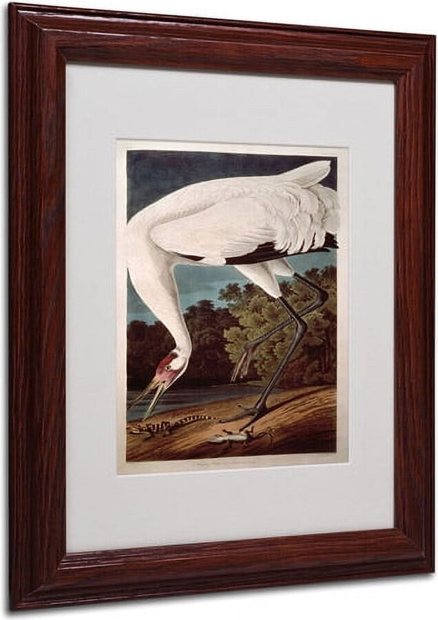 Trademark Fine Art "Whooping Crane" Canvas Art by John James Audubon, Wood Frame