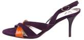 Thumbnail for your product : Just Cavalli Suede Slingback Sandals