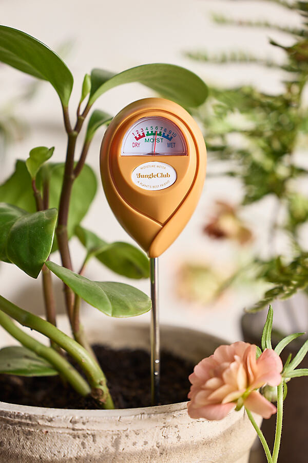 Plant Moisture Meter at Terrain