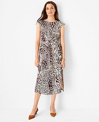 ann taylor dresses