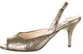Thumbnail for your product : Jimmy Choo Slingback Pumps