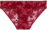 Thumbnail for your product : Stella McCartney Fleur Dancing Flocked Tulle Low-rise Briefs