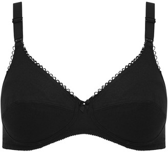 m & co bras