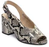 seychelles mavericks leather sandal