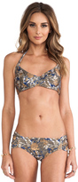 Thumbnail for your product : Tallow Supportive Bikini