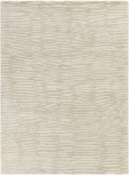 Balta Rugs BaltaRugs5'3\