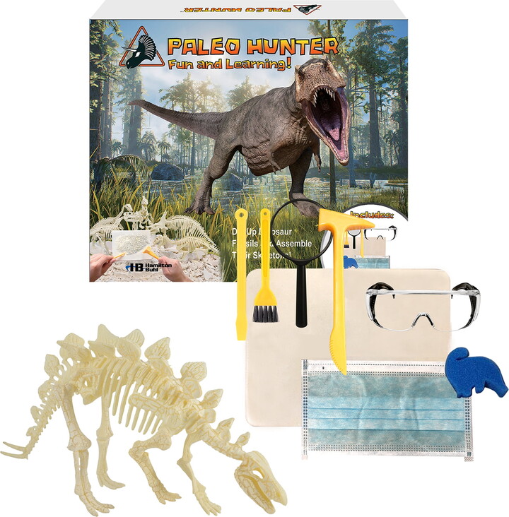 Hamilton Buhl HamiltonBuhl Paleo Hunter Dig Kit for STEAM Education - Stegosaurus