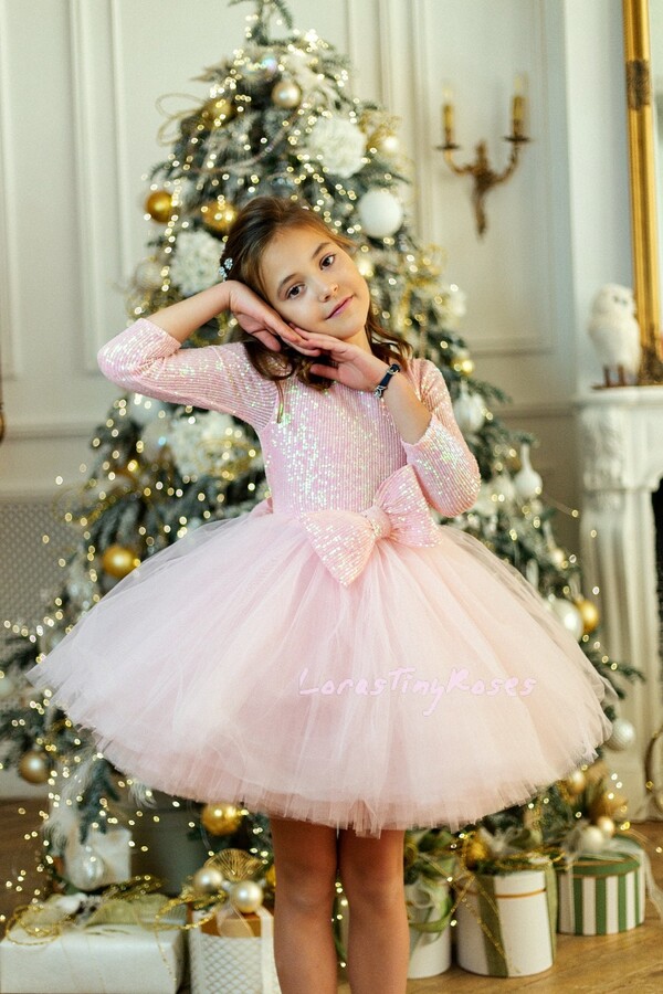 Light Pink Baby Dress, Pink Short Puffy Girl Tutu Tulle Photoshoot Flower Toddler Sparkling Gown