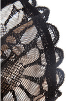 Thumbnail for your product : Elle Macpherson Intimates Dune Sunflower embroidered stretch-tulle underwired bra