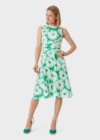 petite fit and flare dresses uk