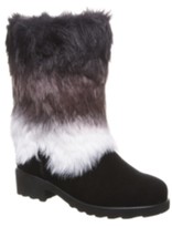 bearpaw shirley