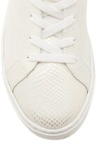 Thumbnail for your product : Rene Caovilla Opal Python Leather Sneakers