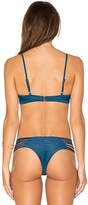 Thumbnail for your product : Issa de' mar Hono Bikini Top