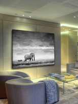 Thumbnail for your product : Parvez Taj Gilt Exclusive - Elephant (Canvas)