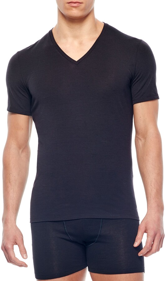 Icebreaker Anatomica Short Sleeve V-Neck T-Shirt - ShopStyle Undershirts