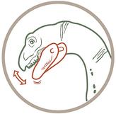 Thumbnail for your product : Schleich Therizinosaurus