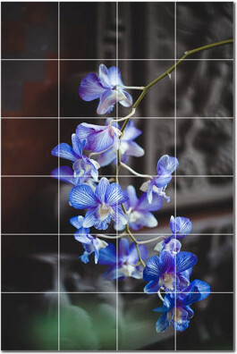 Picture-Tiles.com 6'' x 6'' Satin Ceramic Decorative Mural