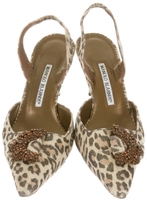 Thumbnail for your product : Manolo Blahnik Pumps w/ Tags