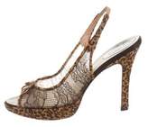 Thumbnail for your product : Rene Caovilla Lace Slingback Pumps