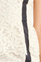 Thumbnail for your product : Charlotte Ronson Women's Peplum Dress with Leather Detail