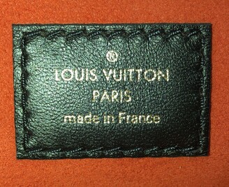 Louis Vuitton Coussin Bag Monogram Embossed Lambskin BB Metallic