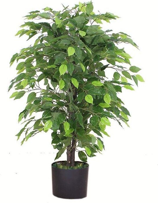 Leaf 90cm Artificial Ficus Tree / Plant Large Bushy Shape ShopStyle