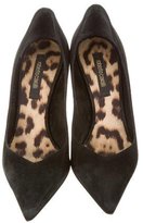 Thumbnail for your product : Roberto Cavalli Suede Pointed-Toe Pumps